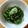クックMH4QY8☆'s cooksnap of when they made ワカメときゅうりの酢の物.