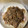 クックC2GECR☆'s cooksnap of when they made 玉葱たっぷり★しょうが焼き★ひとりぶん.