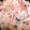 ちーたんずはうす's cooksnap of when they made 簡単☆れんこんとベーコンのガーリック炒め.