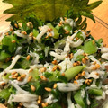 ネコ大スキ☆'s cooksnap of when they made 簡単！大根の葉っぱとしらすのごま油和え.