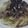 水滸伝's cooksnap of when they made ツナとキノコの和風パスタ.