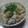 ゆーあちん's cooksnap of when they made 牡蠣のごはん♪.
