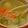 花花里's cooksnap of when they made 簡単炊飯器で柔らか塩豚.
