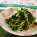 赤い電話's cooksnap of when they made やみつき！ほうれん草とモヤシのナムル☆.