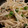 meise17's cooksnap of when they made 簡単5分で☆もやし炒め.