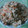 たきこん's cooksnap of when they made 真鱈の子の煮付け★.