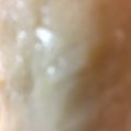 mimikoさん's cooksnap of when they made パサパサしない！ささみ、胸肉の下ごしらえ.