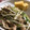 siamese2's cooksnap of when they made もやしと豆苗の炒め物♪.