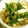由芽15's cooksnap of when they made レンジで簡単！春菊とエリンギのお浸し.