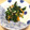 キラキラ0604's cooksnap of when they made ほうれん草と人参とちくわのお浸し.