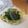 ぽっぽぺぺ's cooksnap of when they made つまみ箸休めに☆きゅうり♪切って揉むだけ.