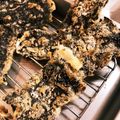 じゅっちャんママ's cooksnap of when they made お酒に合う！海苔の天ぷら.