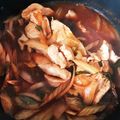 ズボラ★ママ's cooksnap of when they made 鶏むね肉と玉ねぎ セロリのケチャ煮込み❀.