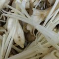 ☆なな☆。's cooksnap of when they made きのこの保存方法☆冷凍キノコミックス.