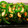 クックI8Z4AT☆'s cooksnap of when they made ちくわとピーマンのきんぴら.
