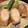limist's cooksnap of when they made 鶏肉のみりん粕(こぼれ梅)漬け.