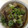 ぷちゼリー's cooksnap of when they made あっさり京風♪揚げずに茄子の煮びたし.