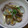 ☆みやこママ☆'s cooksnap of when they made あさりの酒蒸し.