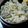 くらま's cooksnap of when they made 舞茸ご飯２種.