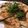acco＊acco's cooksnap of when they made すき焼きのタレで簡単生姜焼き！.