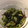 クックS2ZV0Z☆'s cooksnap of when they made 便乗：昆布佃煮と胡瓜の和え物.