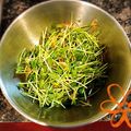 ゆく☆'s cooksnap of when they made ＋1品 豆苗、ちくわ、桜エビのサラダ.