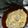 さくらおとめ's cooksnap of when they made レンジで簡単！ふわふわ卵のムネ肉ピカタ.