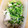 hiromi17's cooksnap of when they made 簡単 豚肉と豆苗炒め.
