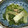 yummy?'s cooksnap of when they made 白菜のナムル？白菜の中華風ごま和え.