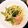 Chiru♥'s cooksnap of when they made 簡単！春♡菜の花とベーコンの彩りパスタ♡.