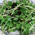 ラテ柴's cooksnap of when they made 豆苗の塩昆布しゃきしゃきサラダ.
