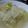 ちばたま's cooksnap of when they made 白菜の簡単スープ.