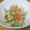 ukyon's cooksnap of when they made 鶏ささみとごぼうきゅうりの胡麻ドレサラダ.