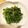 正直子's cooksnap of when they made せりの胡麻和え.