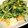 みゆるんるん's cooksnap of when they made 簡単！お手軽！豆苗のバター醤油炒め.