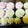 クック9CGDVK☆'s cooksnap of when they made 冷凍ホイップ＆生クリーム＊冷凍保存＊救済.