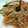 ottoスキー's cooksnap of when they made 青梗菜のきのこあんかけ.