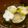 はまけん時々厨房へ。's cooksnap of when they made 桃の節句に、蛤のお吸い物。(潮汁).