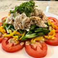 Superlittleboo's cooksnap of when they made まるごとトマトときゅうりの棒棒鶏サラダ.
