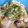 しょー☆'s cooksnap of when they made 凍み豆腐ときのこの玉子とじ.