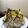 ntma05sa's cooksnap of when they made お弁当にも！干ししいたけと高野豆腐の煮物.