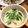 クックさなママ☆'s cooksnap of when they made レンジで簡単☆茶碗蒸し.