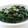 kachimachi's cooksnap of when they made ほうれん草の胡麻和え.