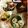 栗丸うさぎ's cooksnap of when they made かぶとお揚げの炊いたん.