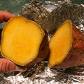 aco314's cooksnap of when they made 安納芋の焼き芋.