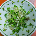＊れいぴん＊'s cooksnap of when they made ✿かいわれのとろろ大根おろしかけ✿.