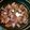 クックBNQ5PD☆'s cooksnap of when they made 砂肝のねぎ塩あえ.