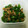 ☆ピッピ★'s cooksnap of when they made お弁当に♪ピーマンとツナの甘辛風炒め.