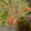 稲沢ゆり's cooksnap of when they made えびと生きくらげと春雨のさっぱり和風和え.