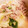 sally1204's cooksnap of when they made 簡単！豚ばら白菜☆辛子めんたい炒め.